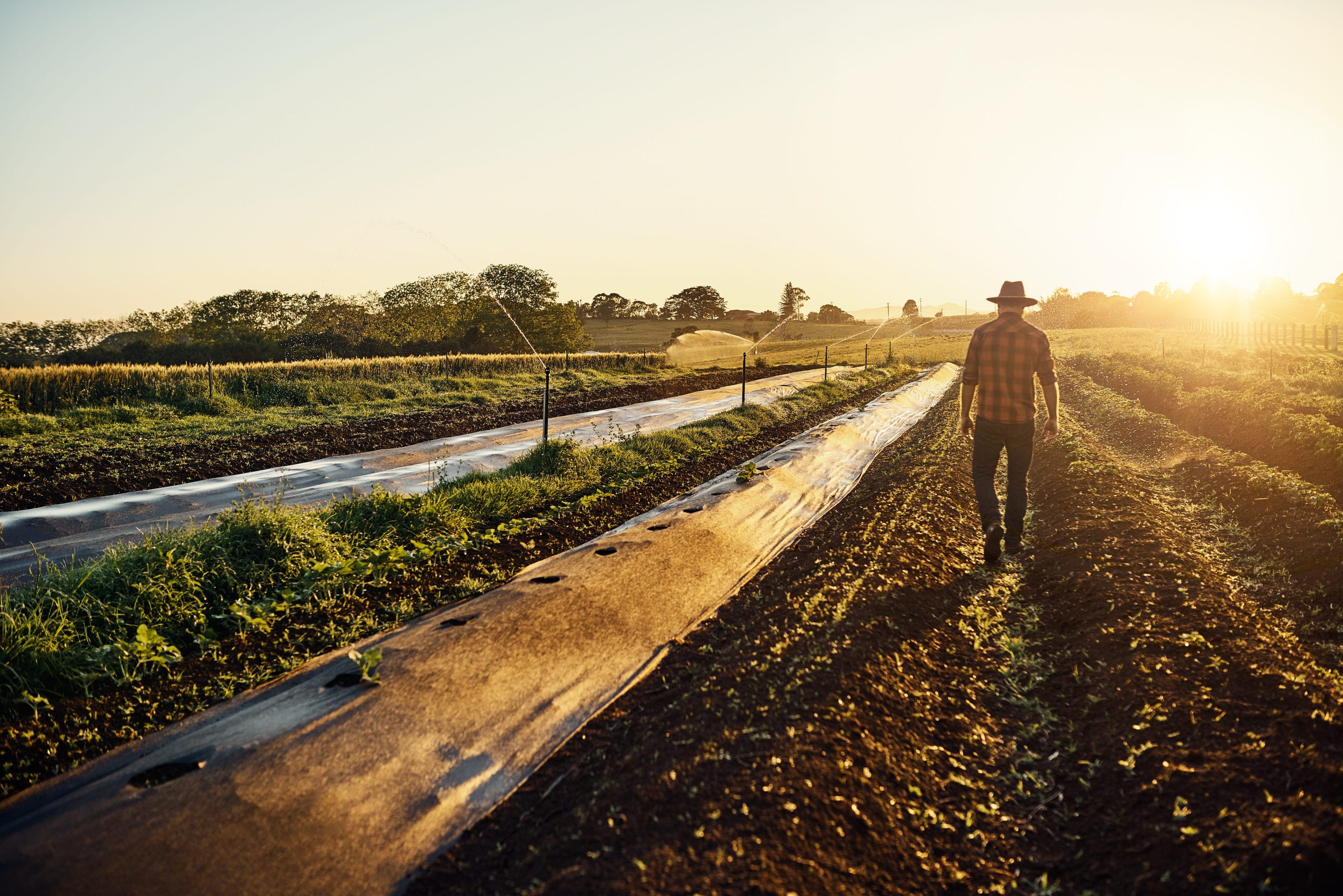 The Evolution Of Agriculture. For most of history, humans