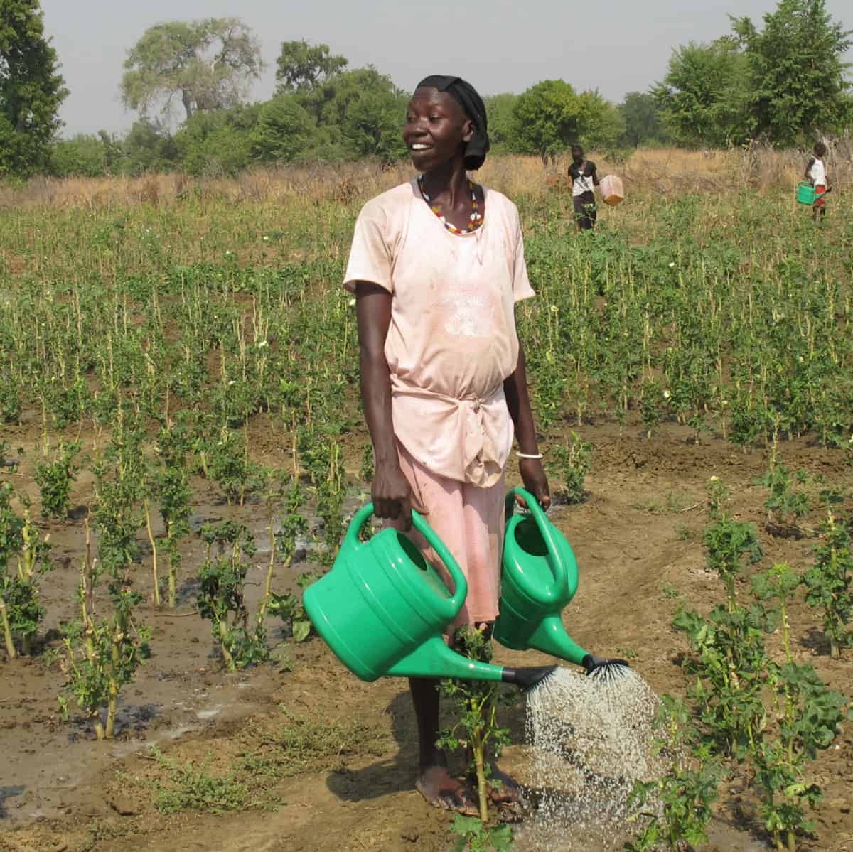 South Sudanese return to agriculture again after years of