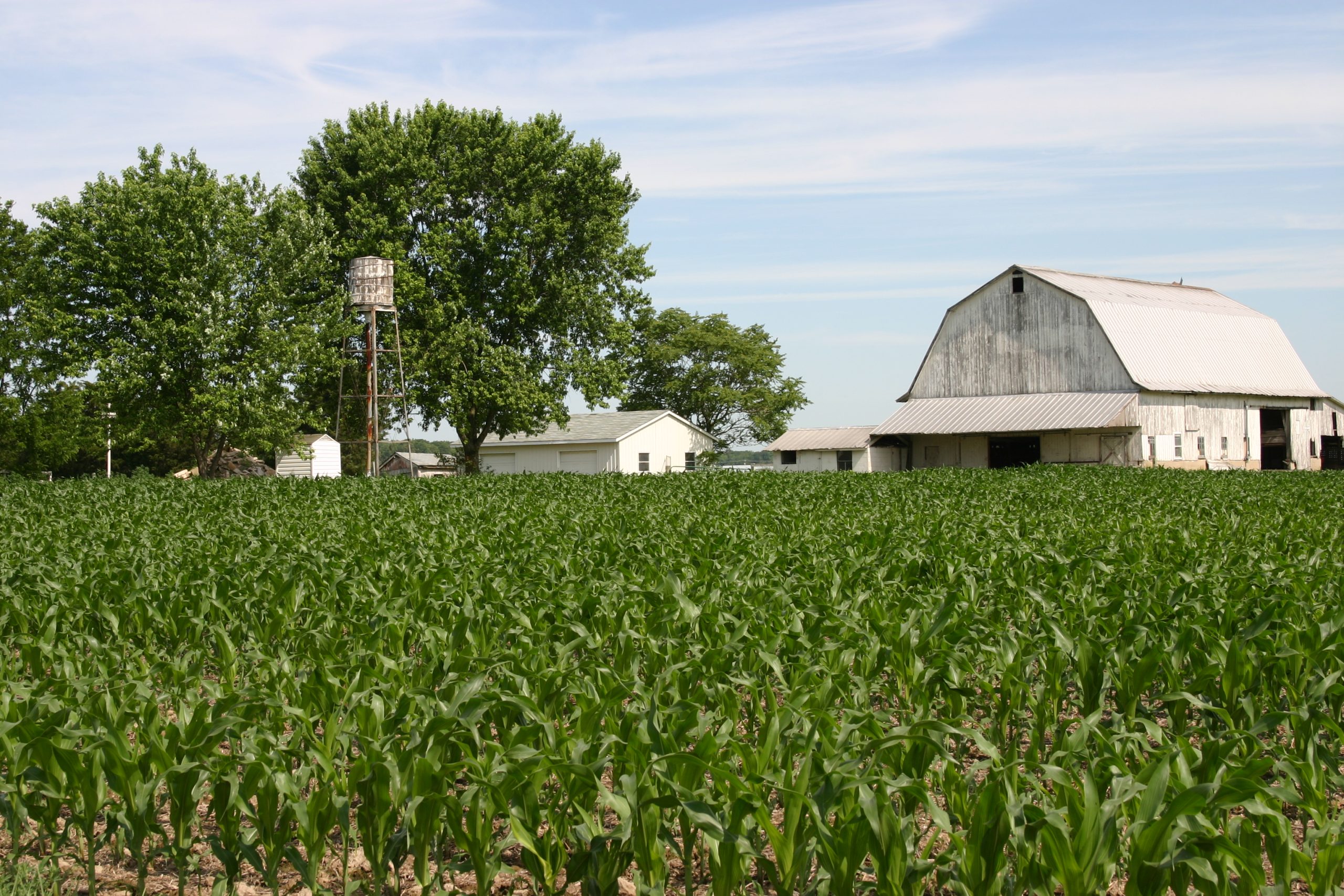 Sixtyfive farms permanently preserved by Agricultural