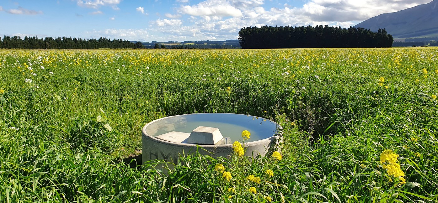 Regenerative Agriculture benlea.co.nz