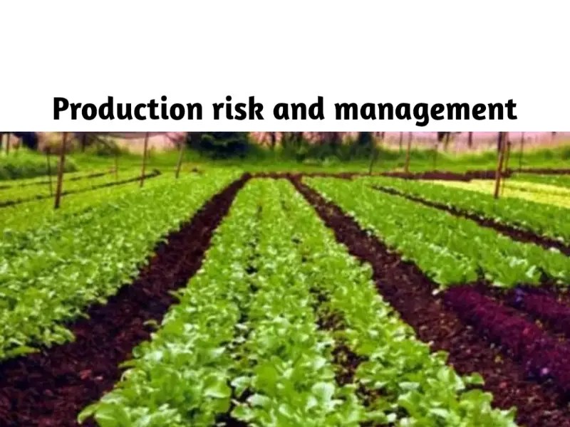 Production Risks faced by Farmers in Agriculture and How