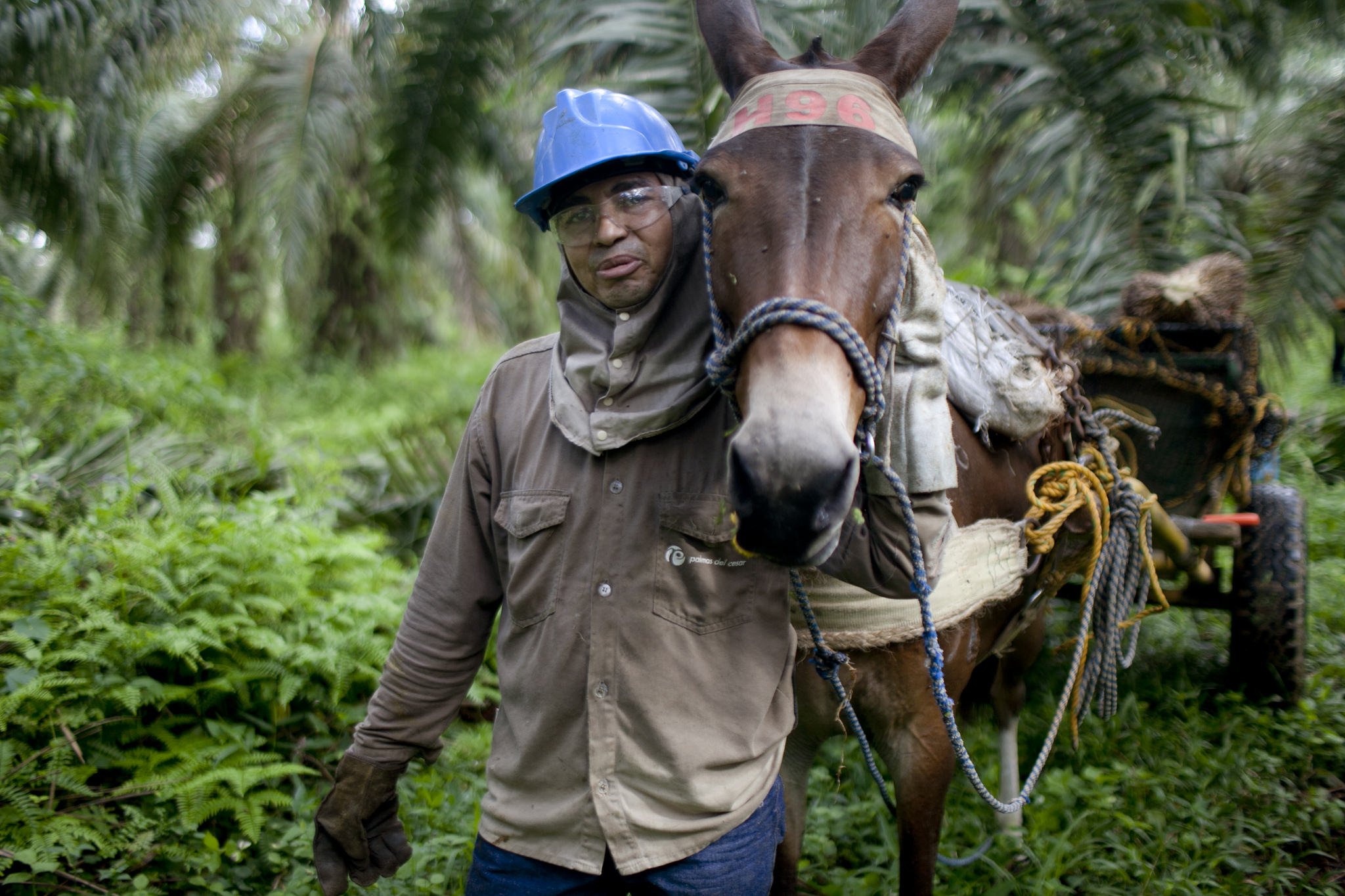 Sustainable Agriculture in Colombia Three Current