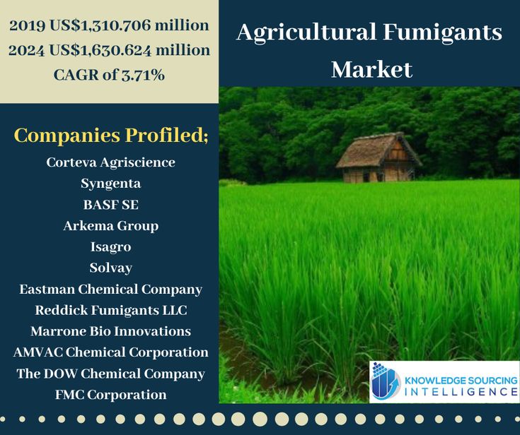 Agricultural Fumigants Market Research Analysis By