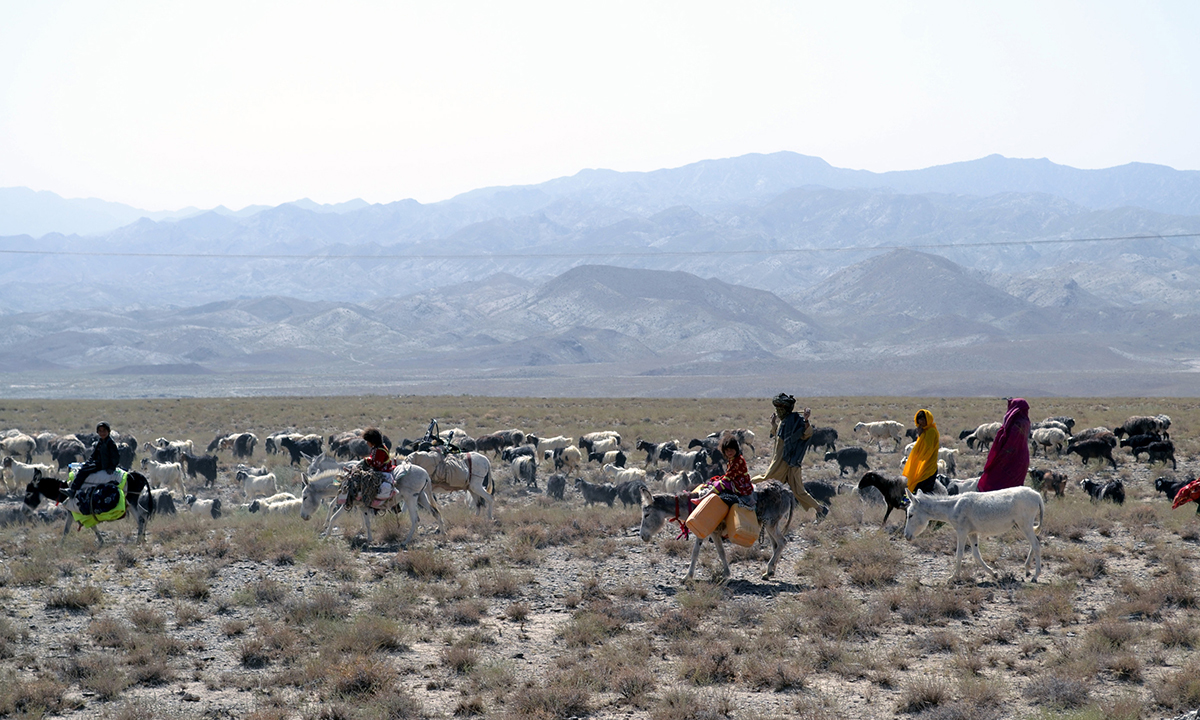 A wandering life Afghan nomads make Balochistan home