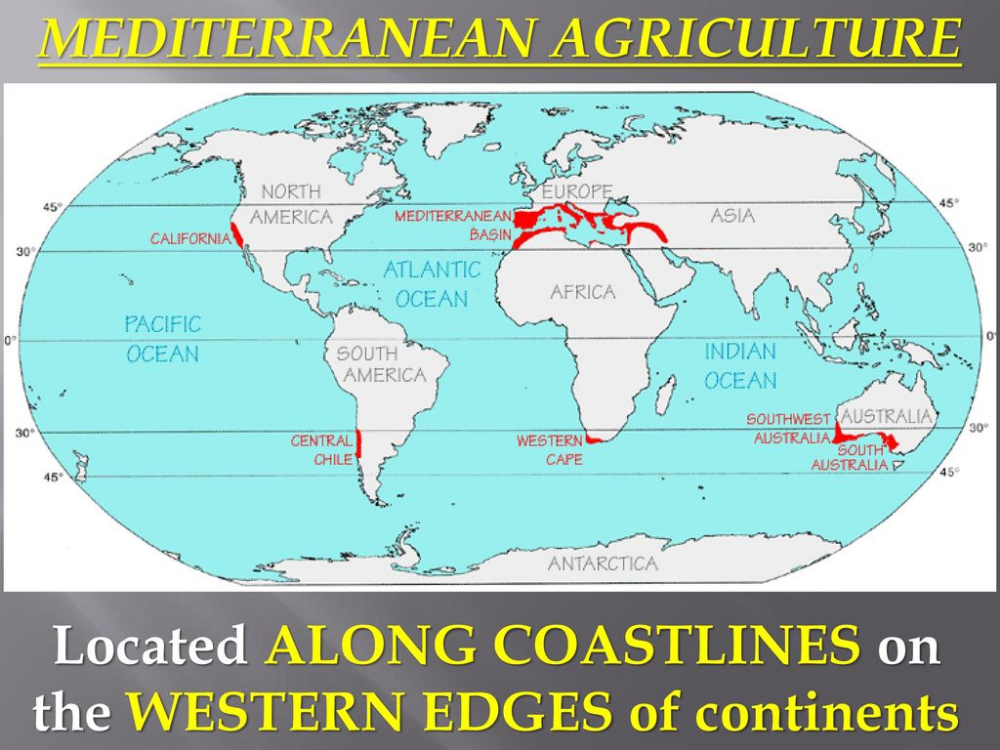 Mediterranean Agriculture Ap human geography, Human