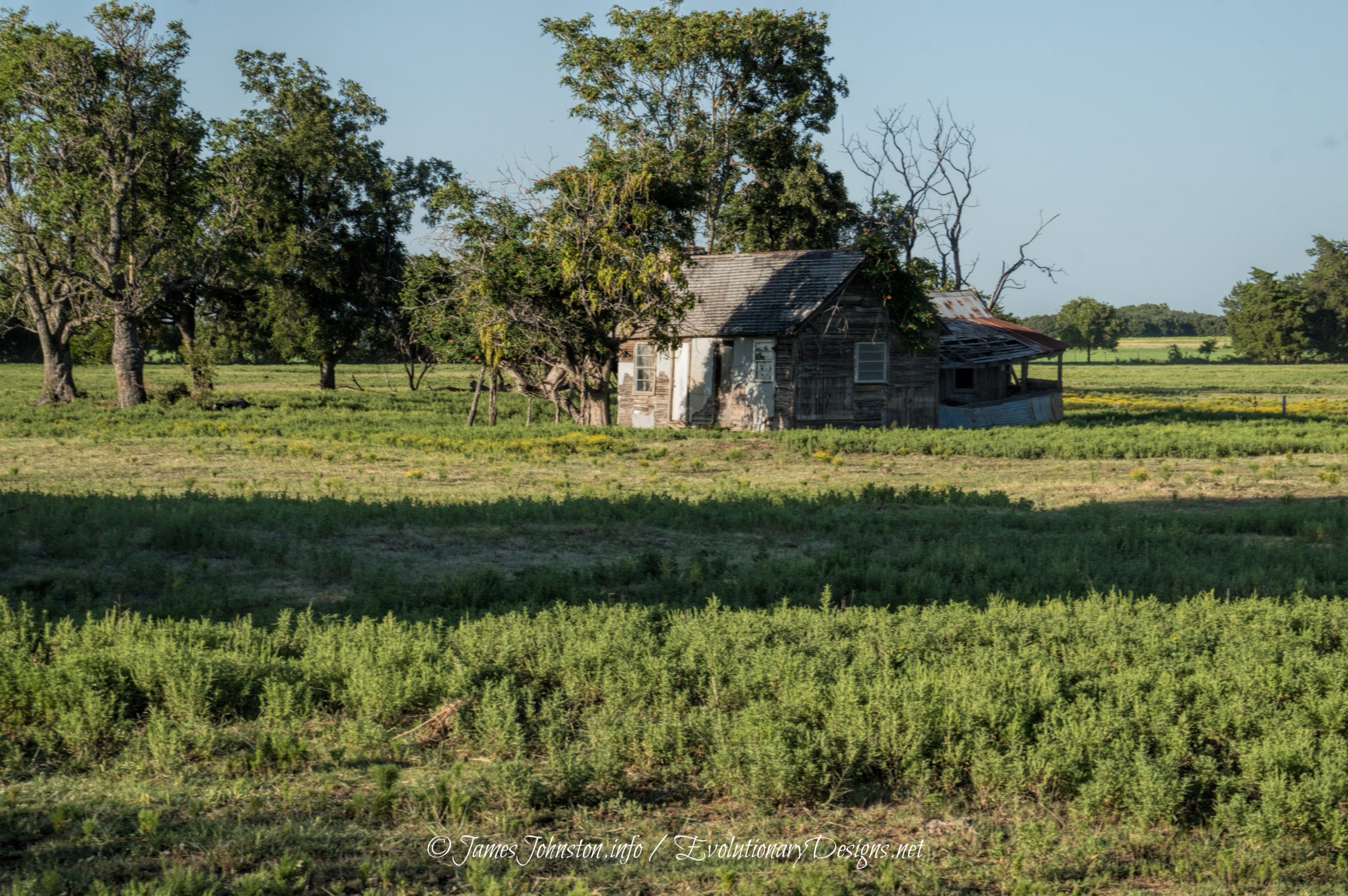 Abandoned Farm House North of St. Jo, Texas Vanishing Texas