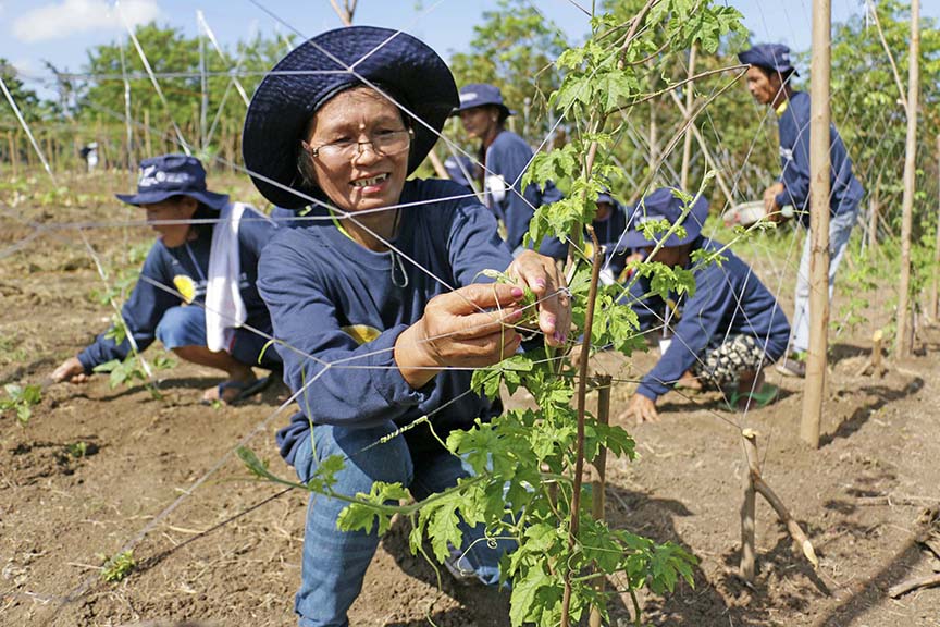 Cutting edge decision support tools aid climate resilience