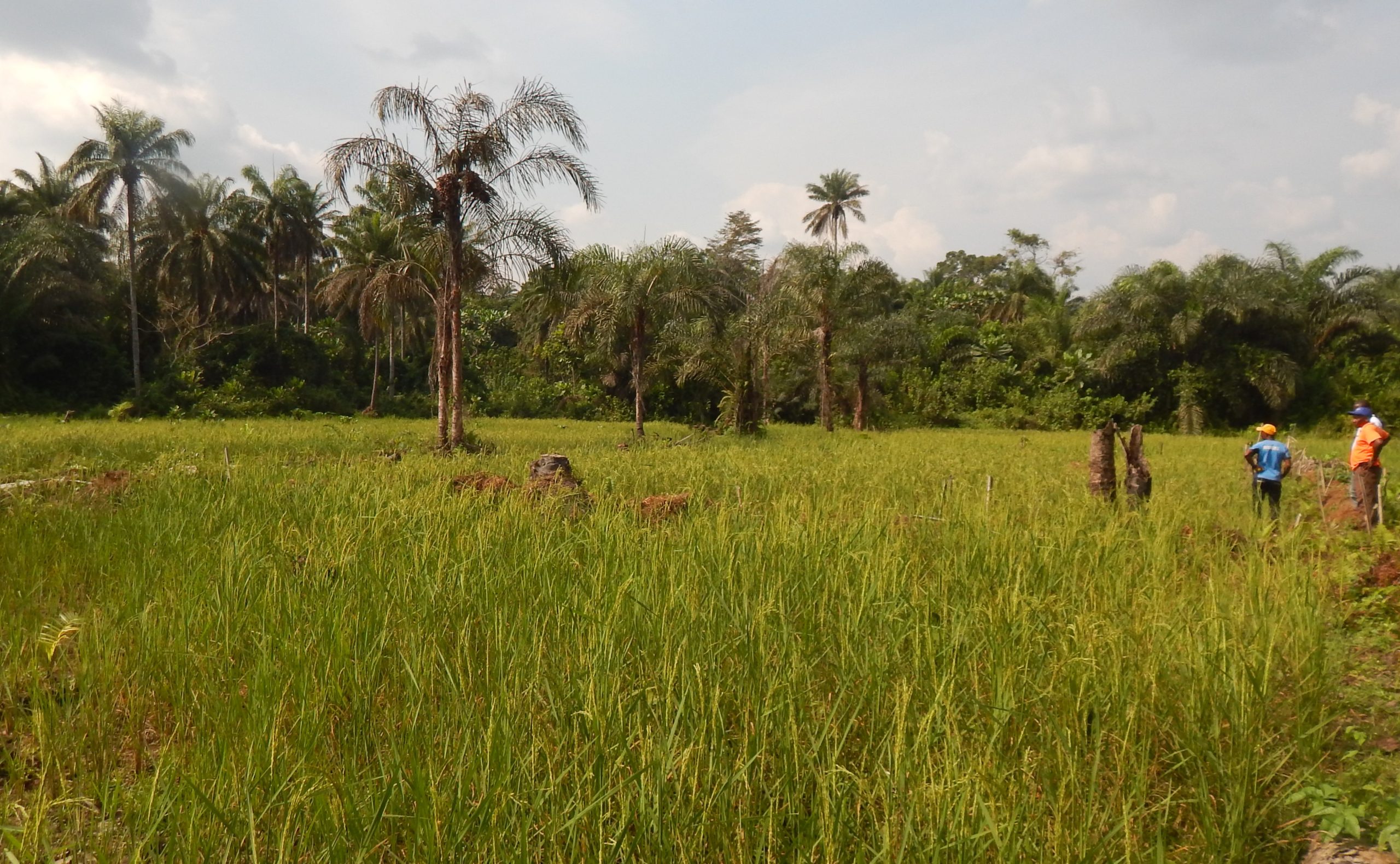 Liberia Agriculture ministry to hold first ever