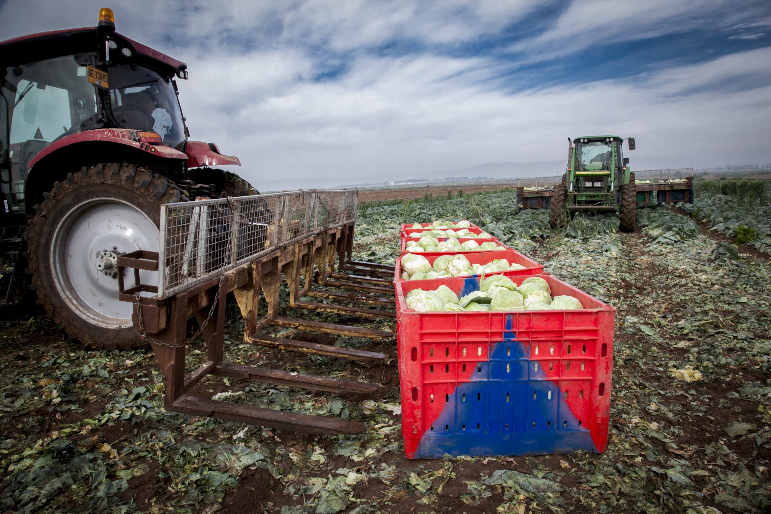 Israeli Agriculture Israel Today