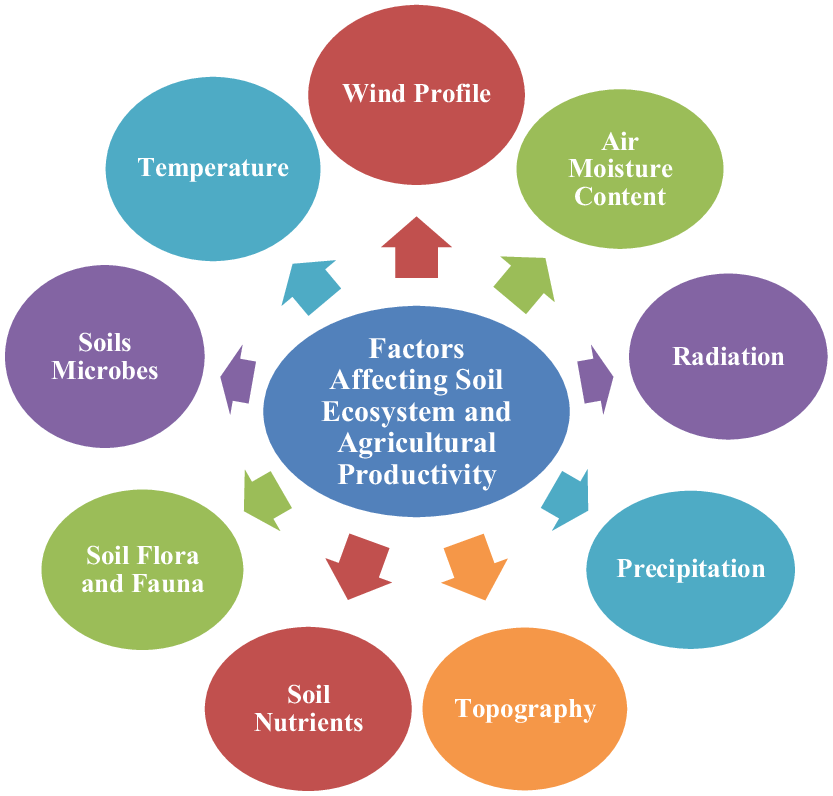 1 Factors affecting the ecosystem and agricultural