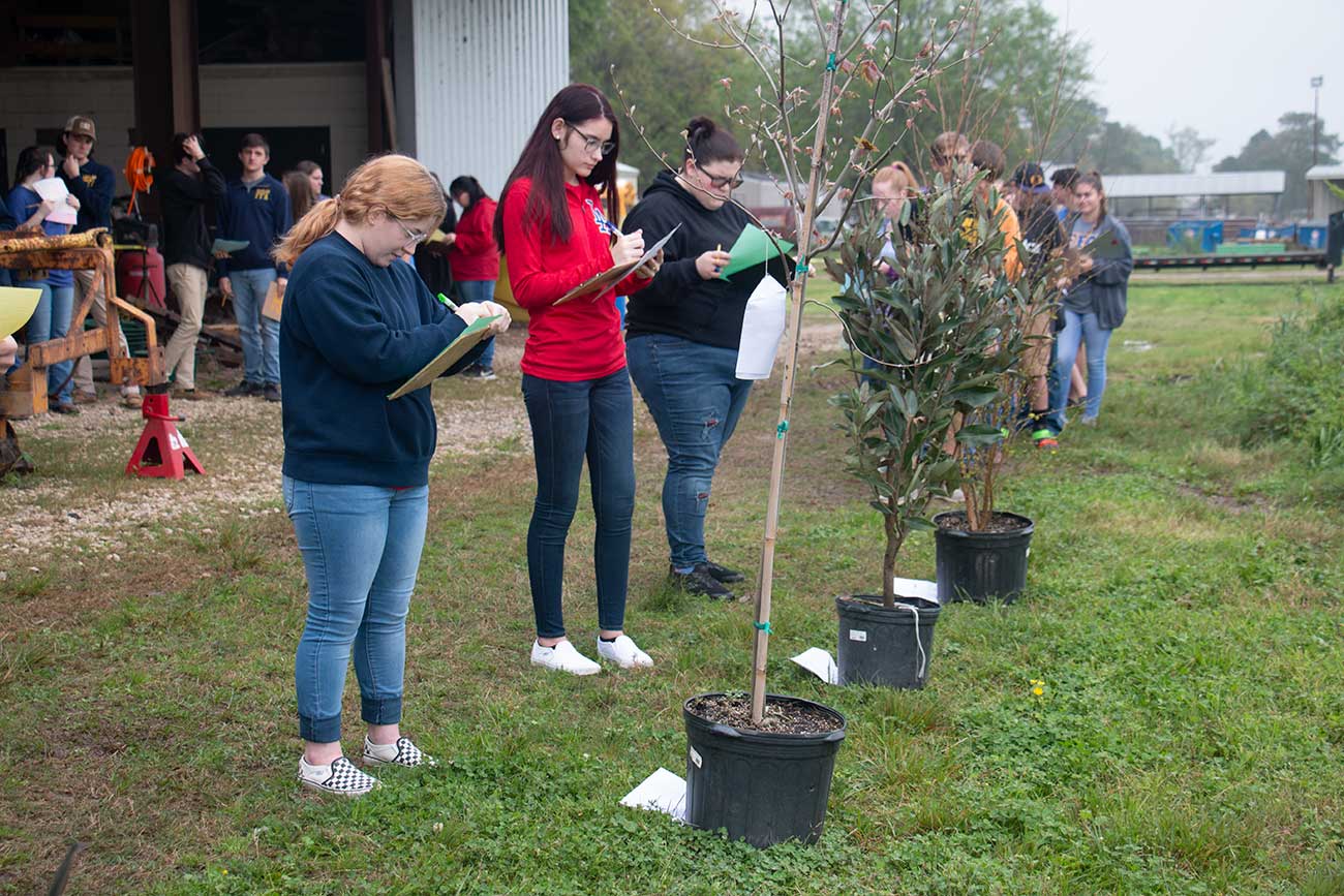 Bachelors Degree in Agricultural Sciences Louisiana