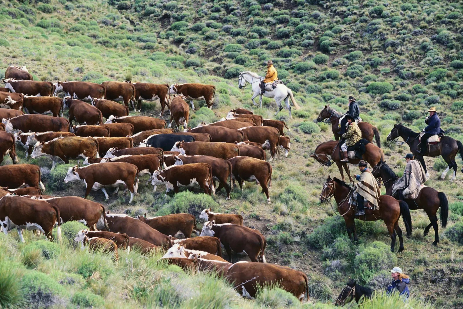 Argentina Agriculture, forestry, and fishing Britannica