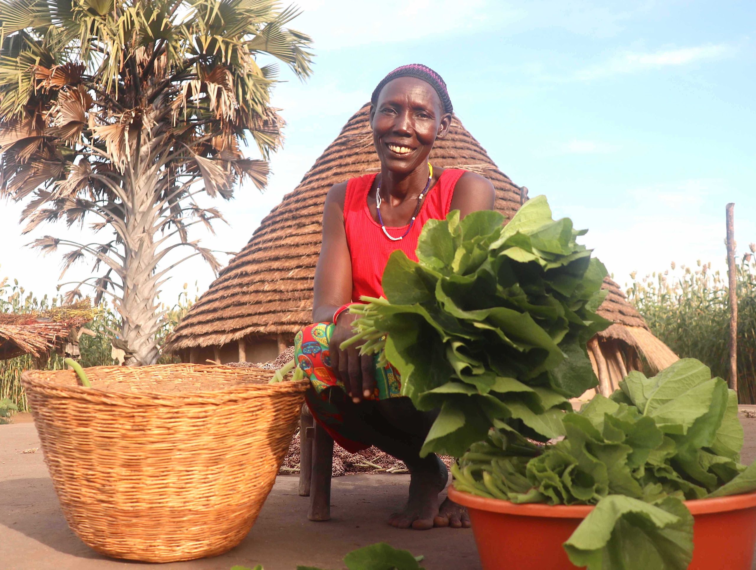 Game Changer in Agriculture Akech raises South Sudanese