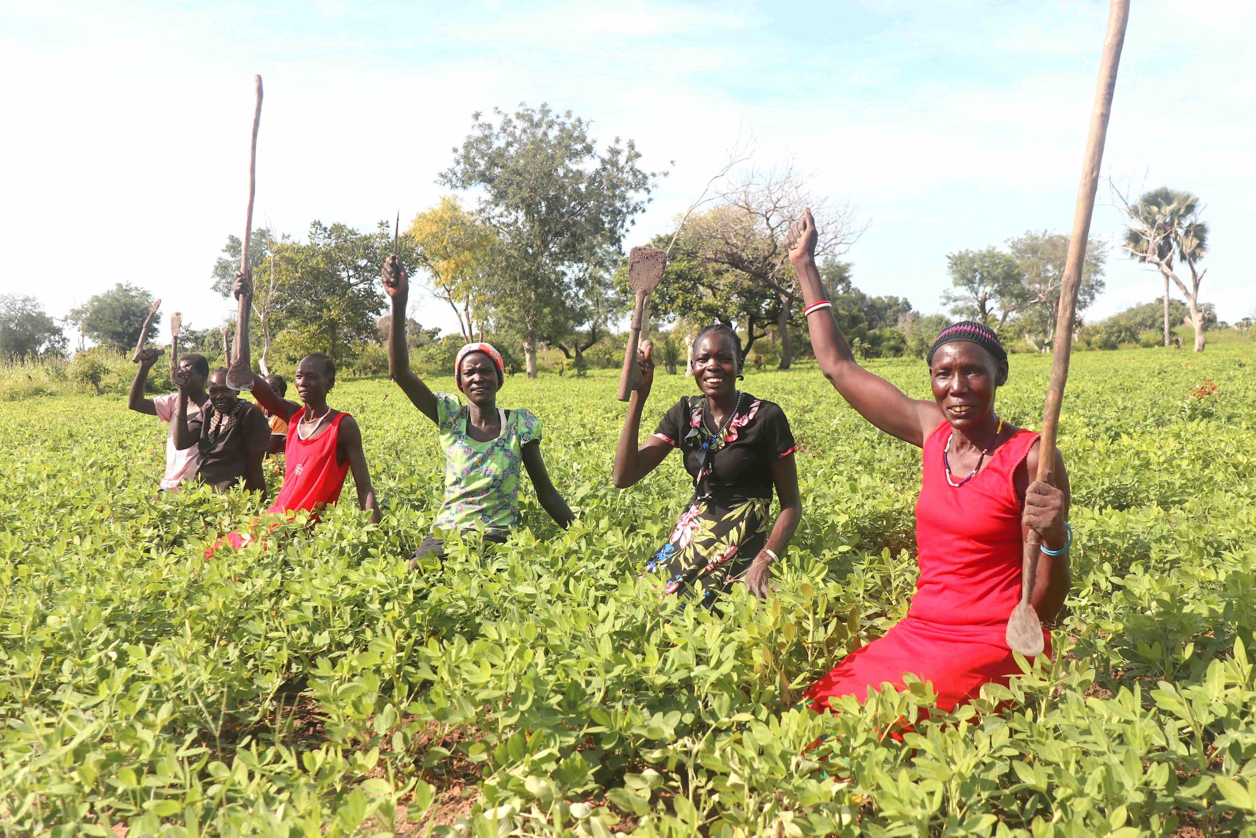 Game Changer in Agriculture Akech raises South Sudanese