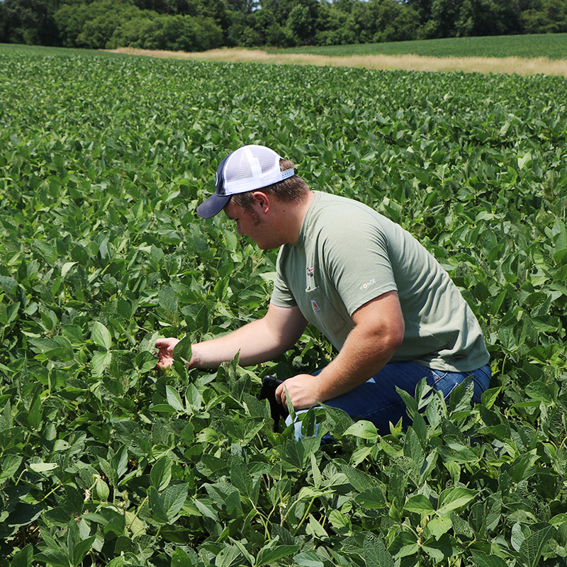 Agriculture JWCC