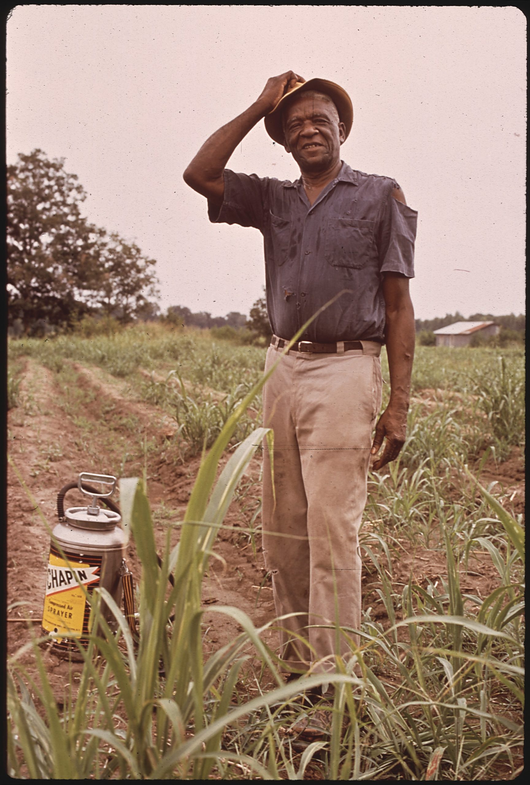 This Land is Whose Land? Dispossession, Resistance and