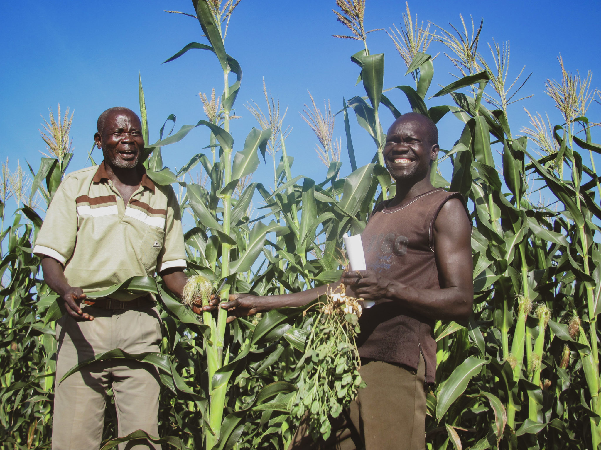 Accelerating Agriculture and Agribusiness in South Sudan