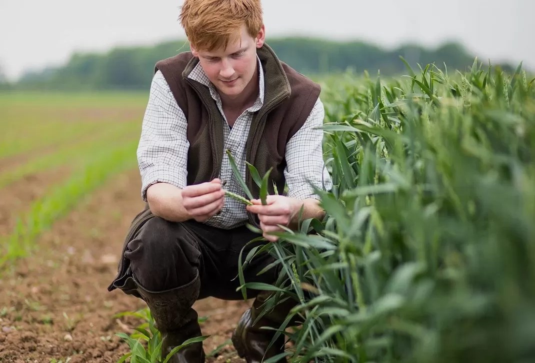 What Can You Do With An Agriculture Degree? CropForLife