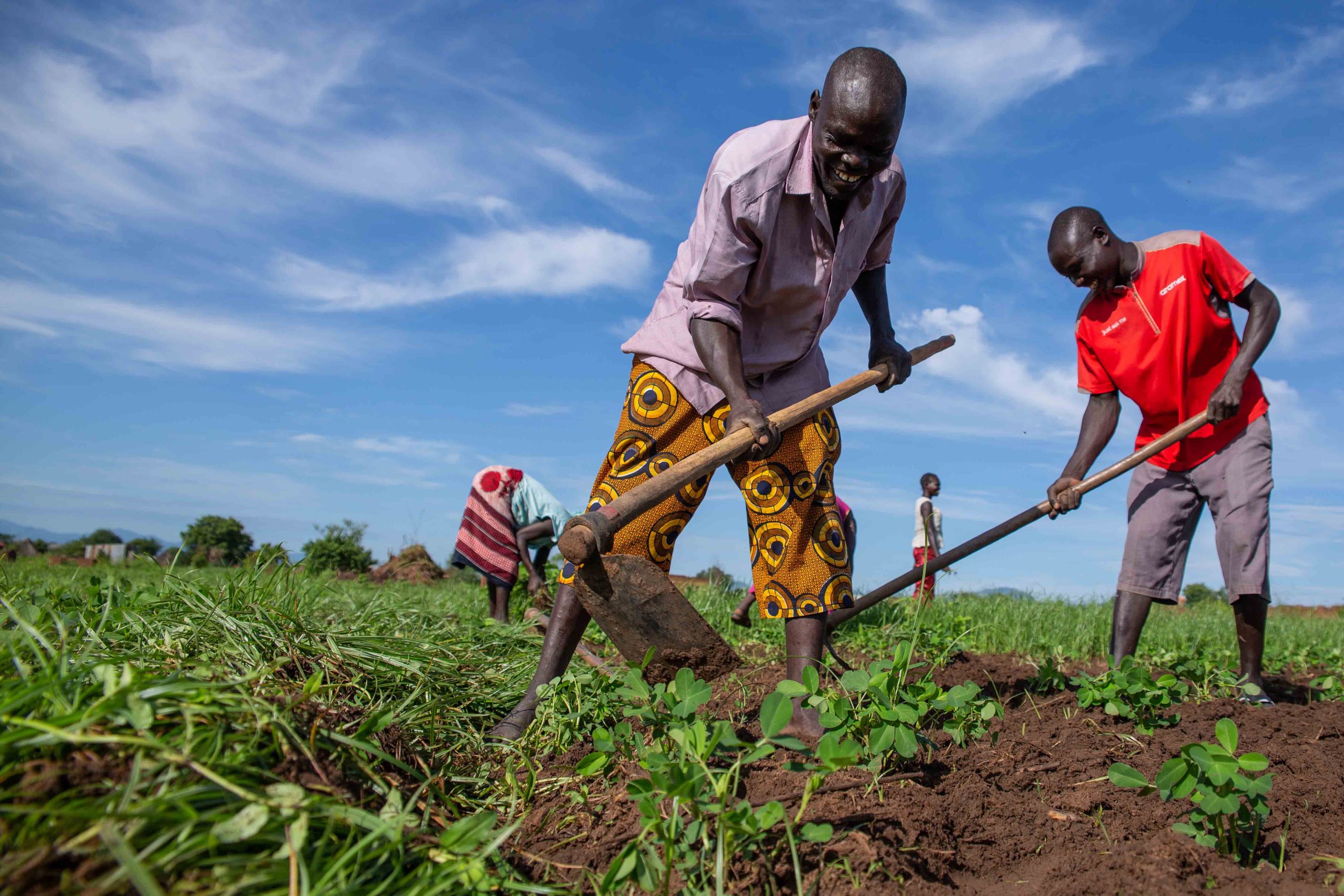 FAO in South Sudan Food and Agriculture Organization of