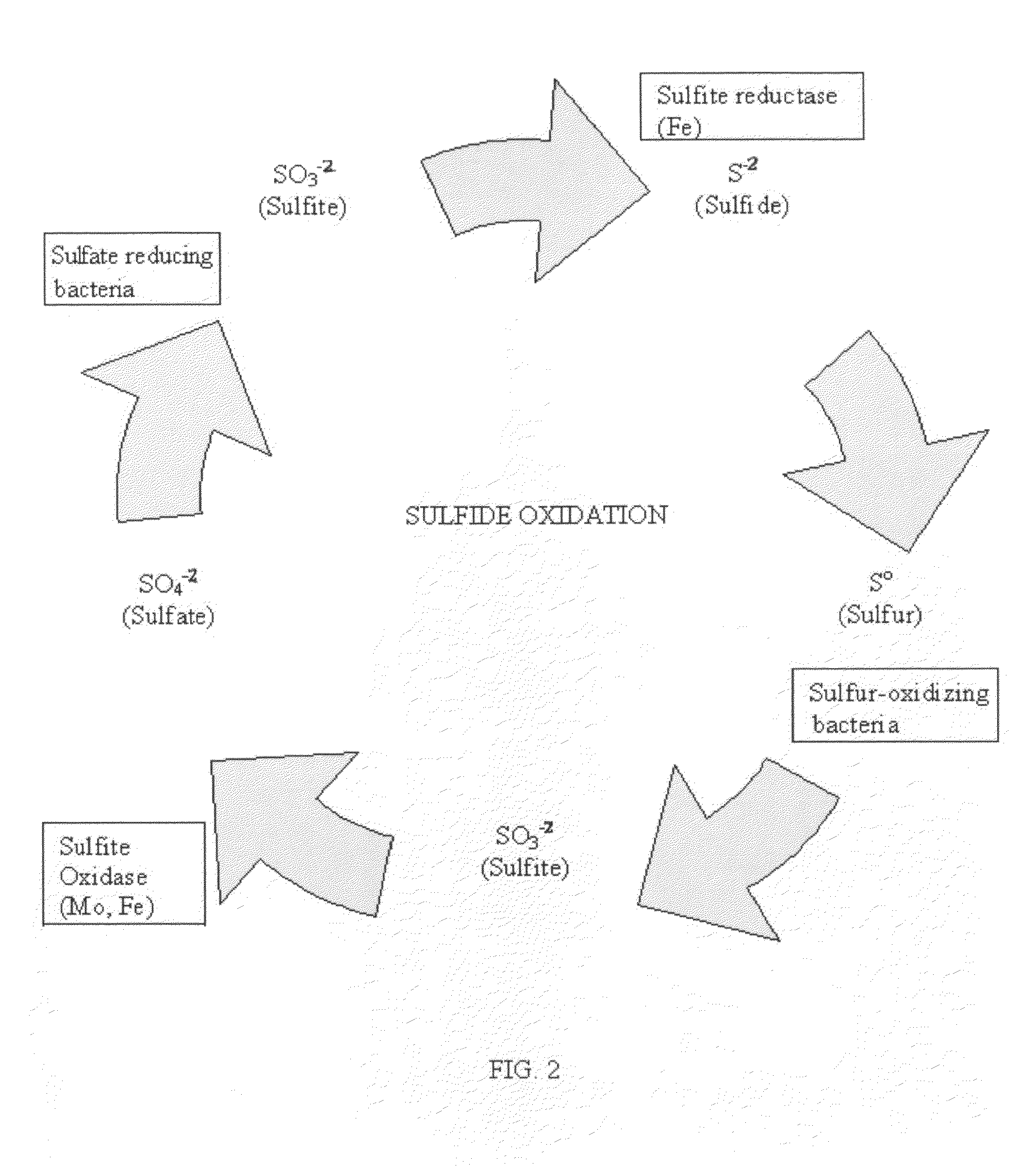 Patent US20110027017 Carbon sequestration method