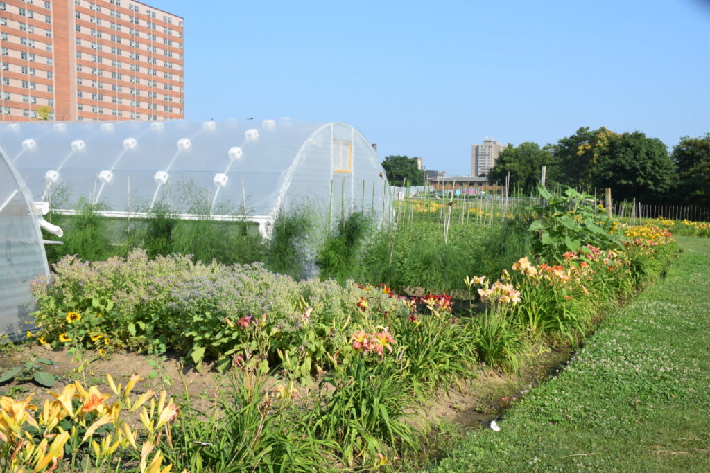 USDA announces recipients of new urban ag grants