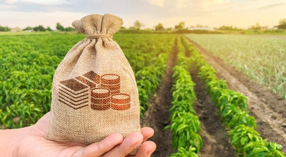 What are The Requirements for Agricultural Loan Another