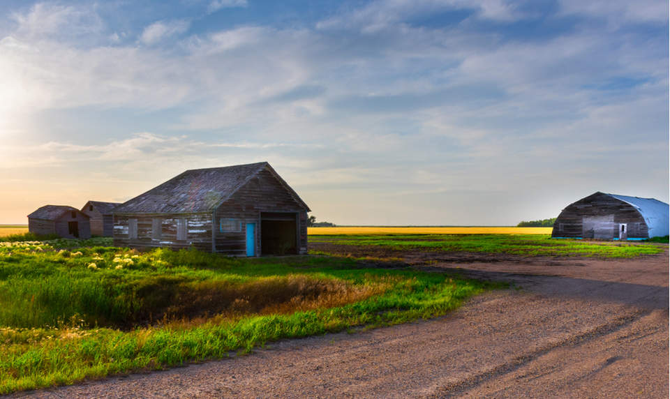 Could abandoned agricultural lands help save the