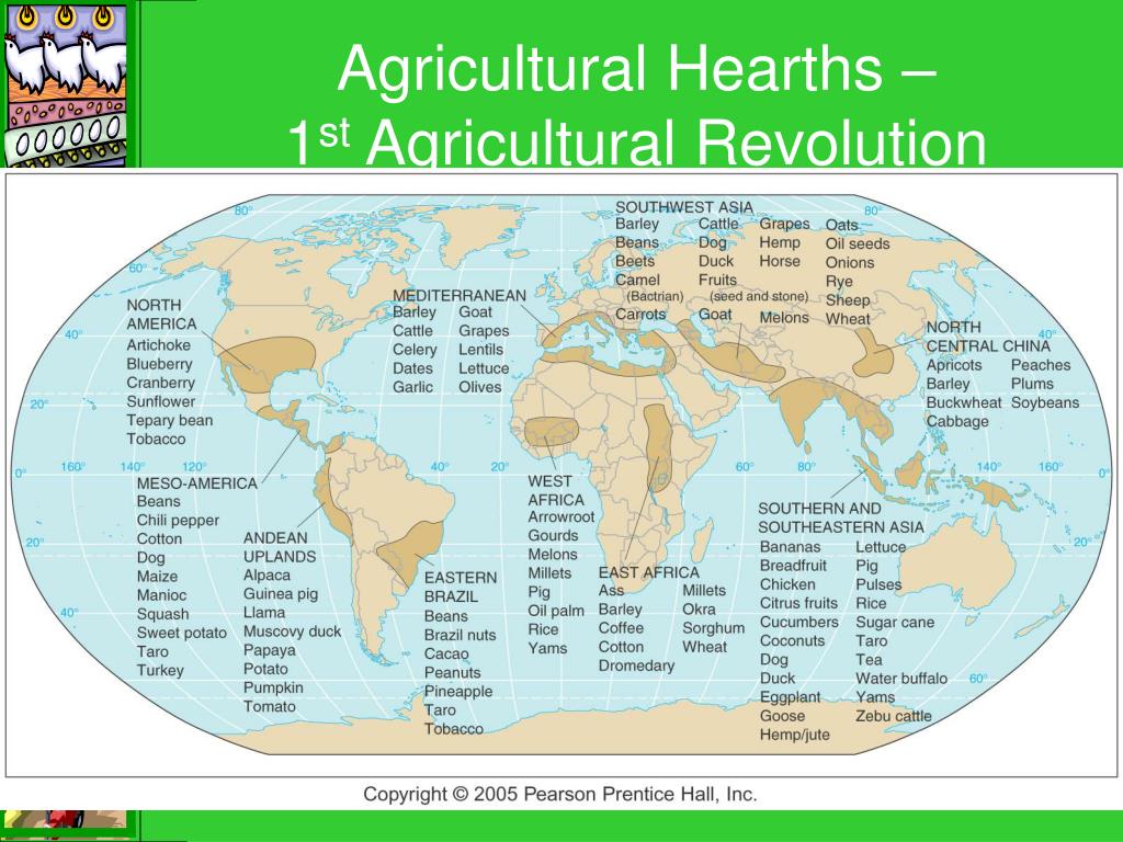 PPT Agriculture PowerPoint Presentation, free download