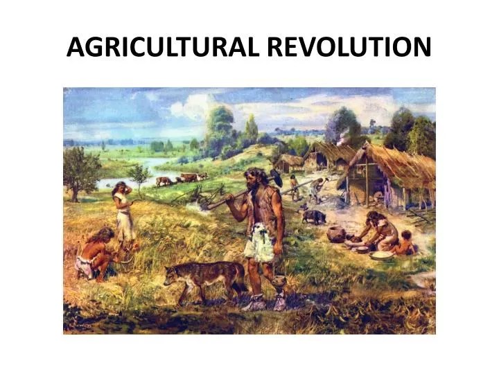 PPT AGRICULTURAL REVOLUTION PowerPoint Presentation