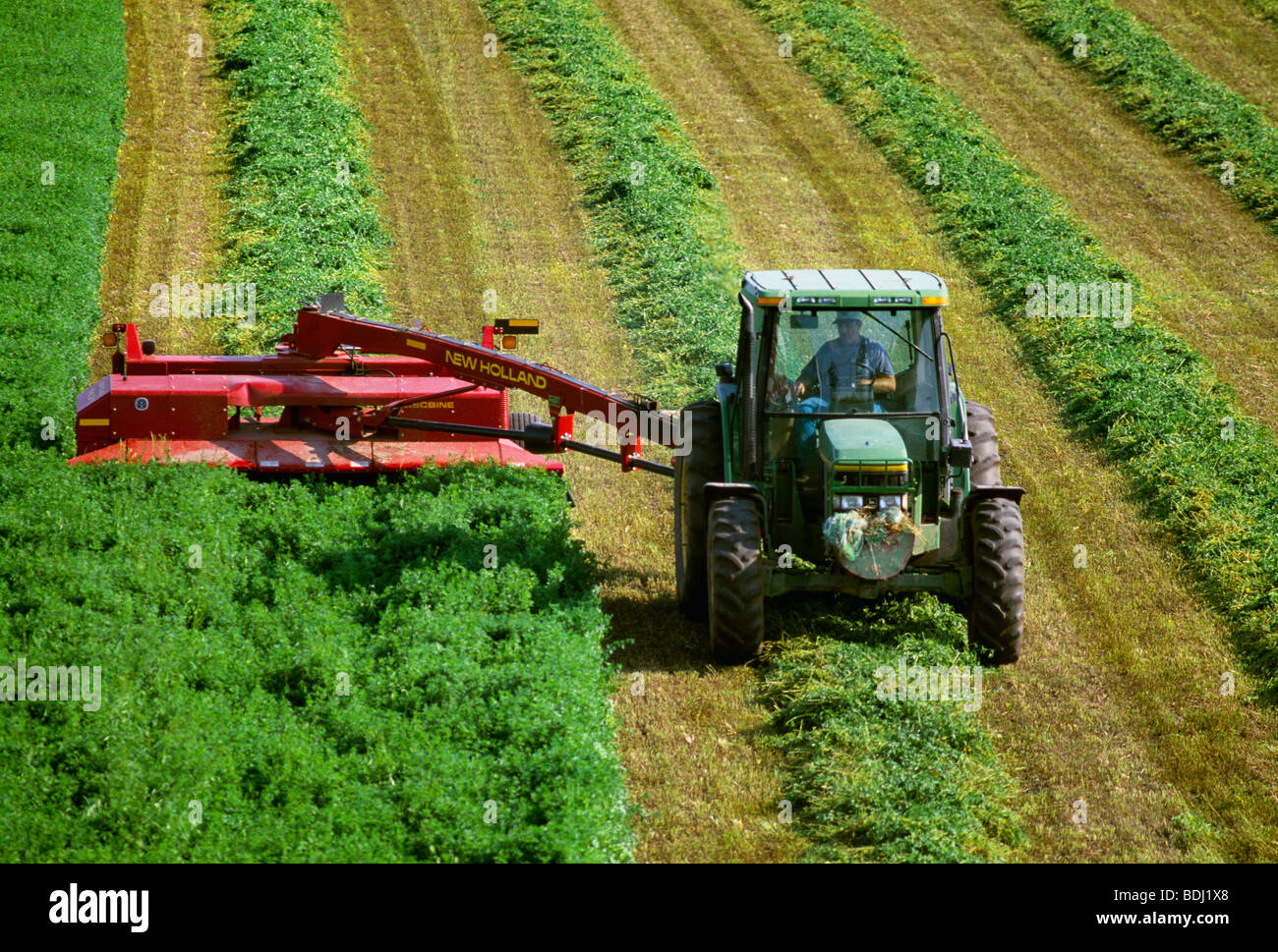 Agriculture High view of a tractor and forage cutter