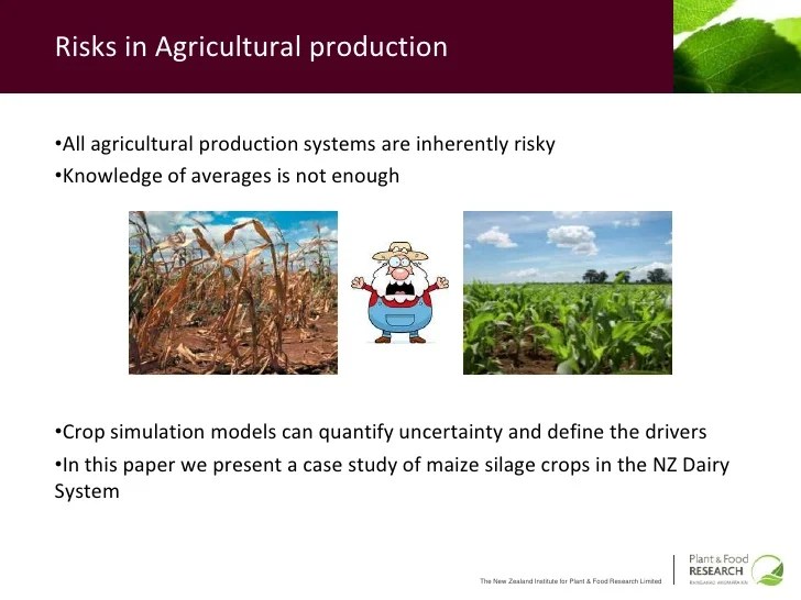 Assessing production risks in agricultural systems a