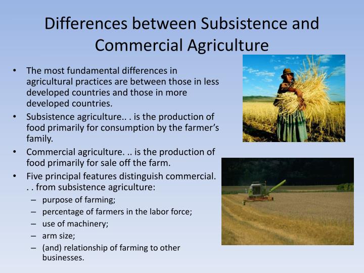 PPT Origins of Agriculture PowerPoint Presentation ID