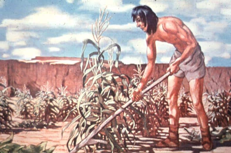 10 Things About the Agricultural Revolution, History's