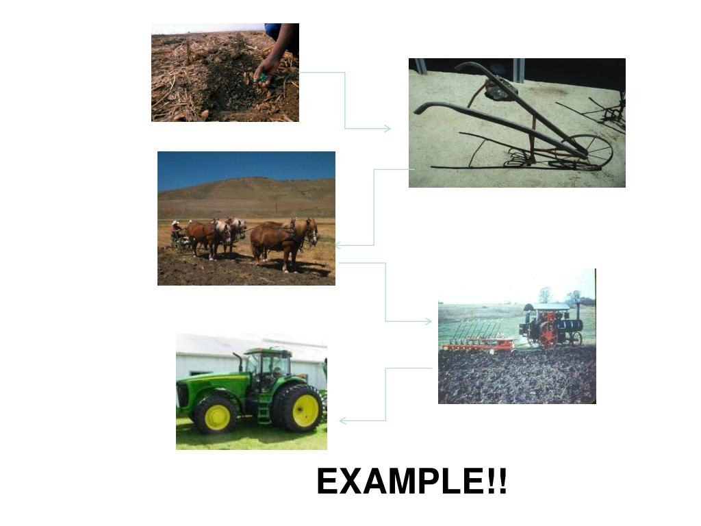 PPT First Agricultural Revolution PowerPoint