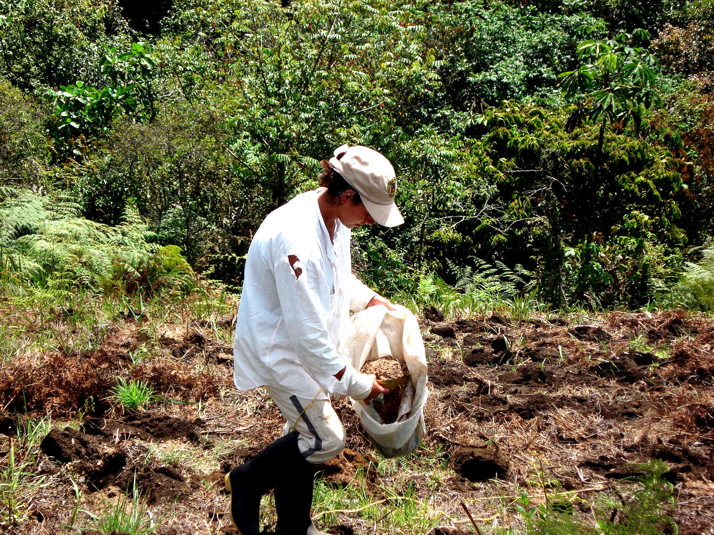 Free picture female, farmer, Colombia, training