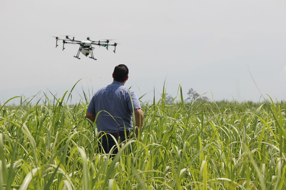 Precision Farming and Digitalization in Agriculture