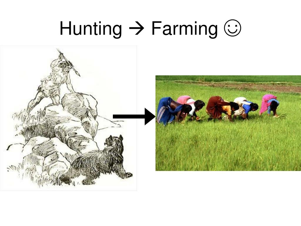 PPT First Agricultural Revolution PowerPoint