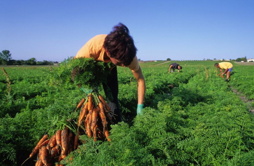 California Makes Clear Undocumented Workers Deserve