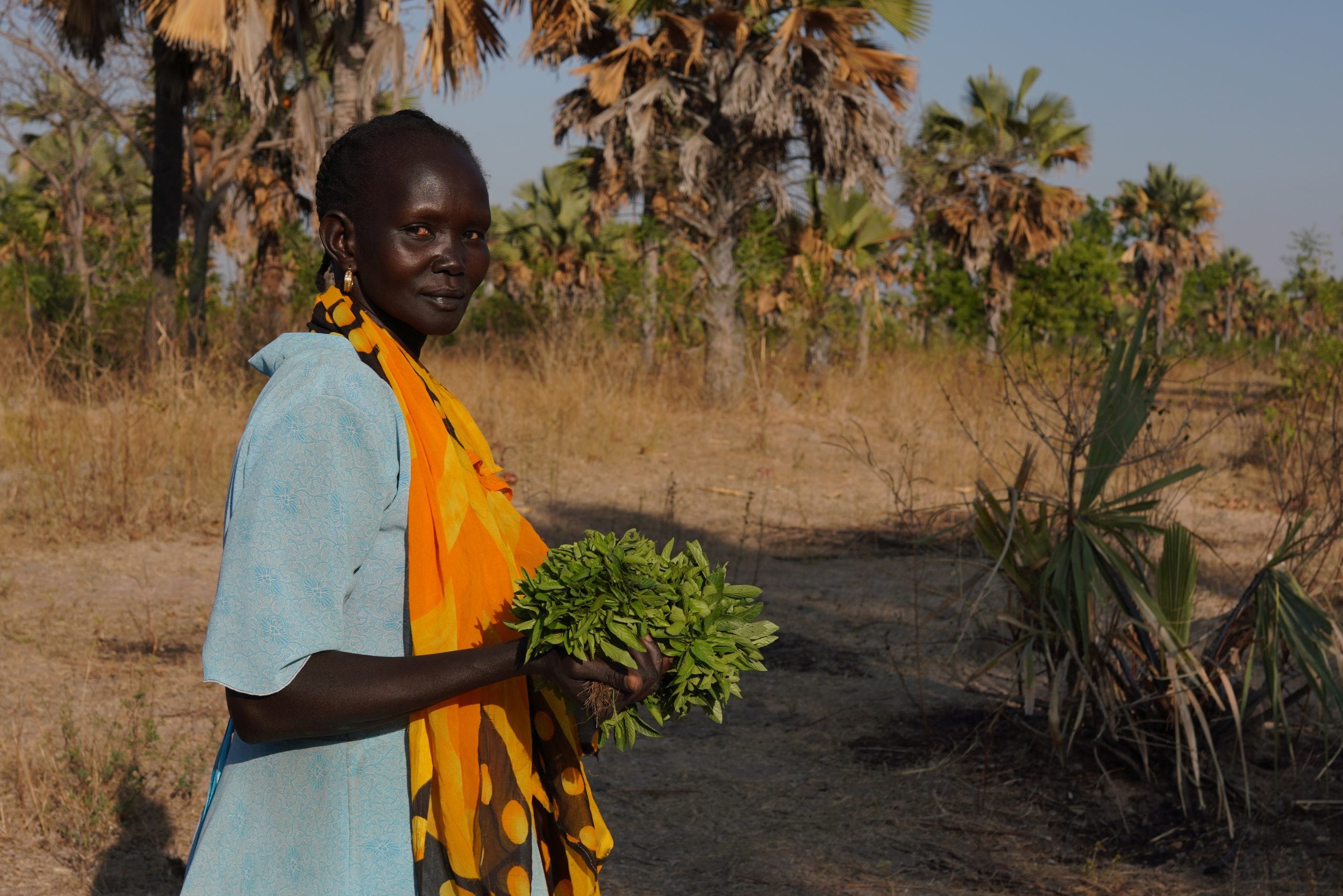 FAO in South Sudan Food and Agriculture Organization of