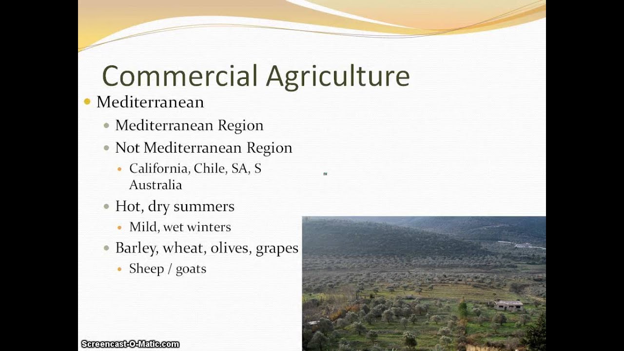 AP Human Geography Commercial Agriculture Mediterranean