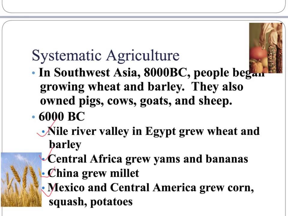 agricultural revolution YouTube