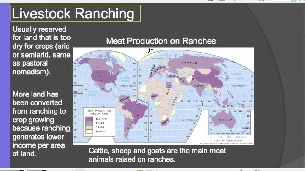 CH 10 3 MDC Agriculture grain, livestock, mediterranean