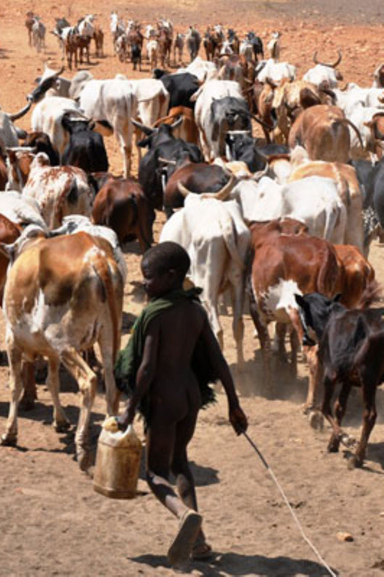 Government moves to abolish nomadic pastoralism Daily