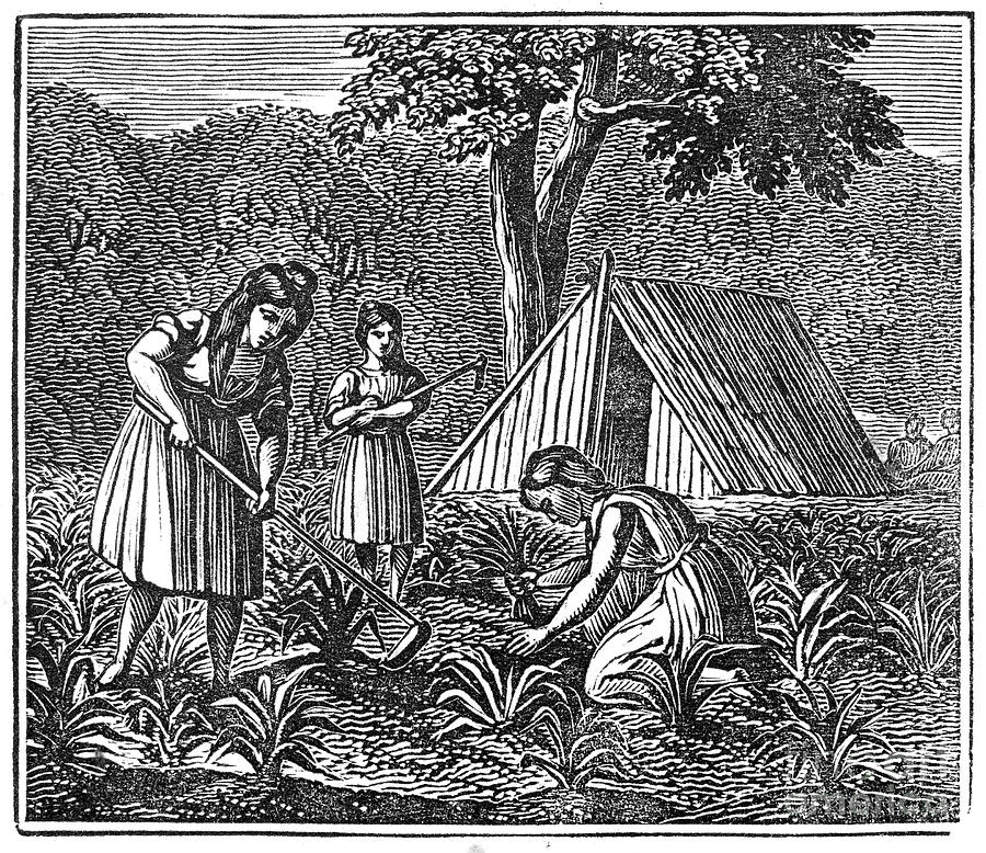 Native American Women Farming, 1835 Photograph by Granger