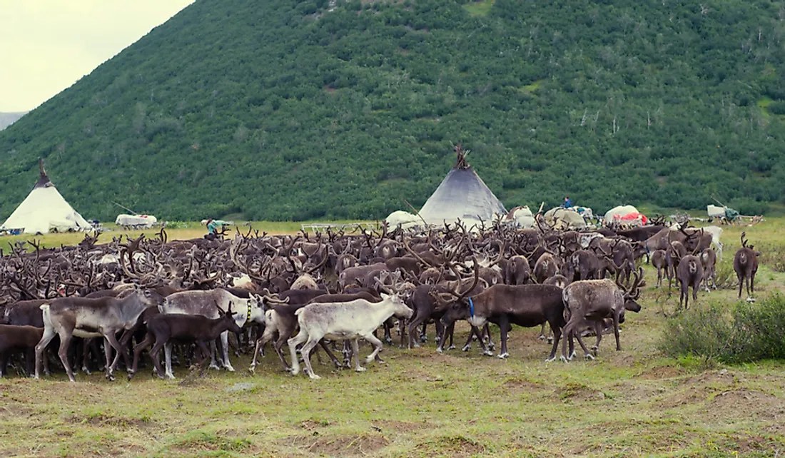 Countries Where Nomadic Pastoralism Is Still A Way Of Life