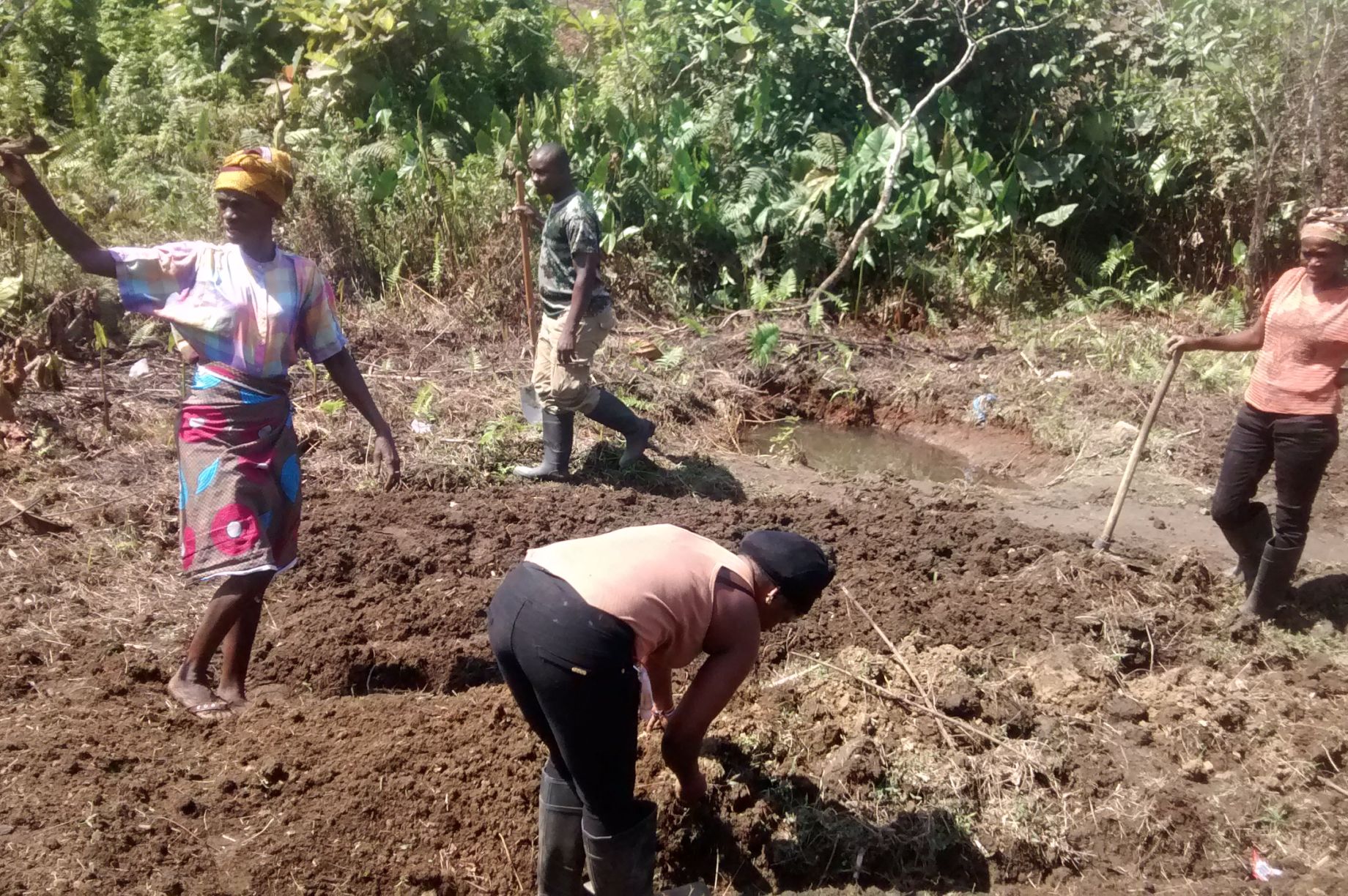 How to Share Rural Agriculture for HIV Affected Women