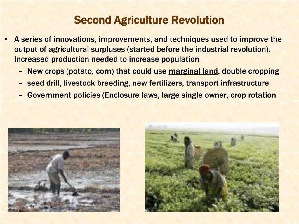 PPT Agriculture PowerPoint Presentation, free download