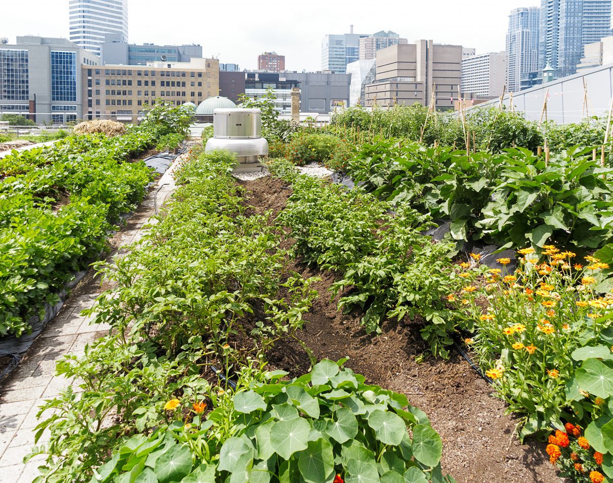 USDA supports urban ag with US3m in grant funding