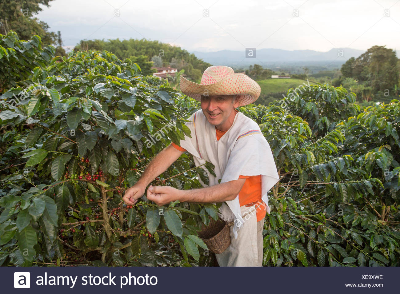 South America, Latin America, Colombia, coffee production