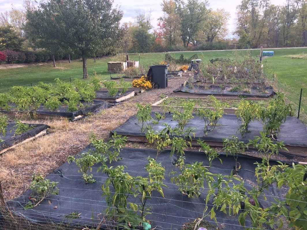 Urban Agriculture Hamilton County Soil and Water